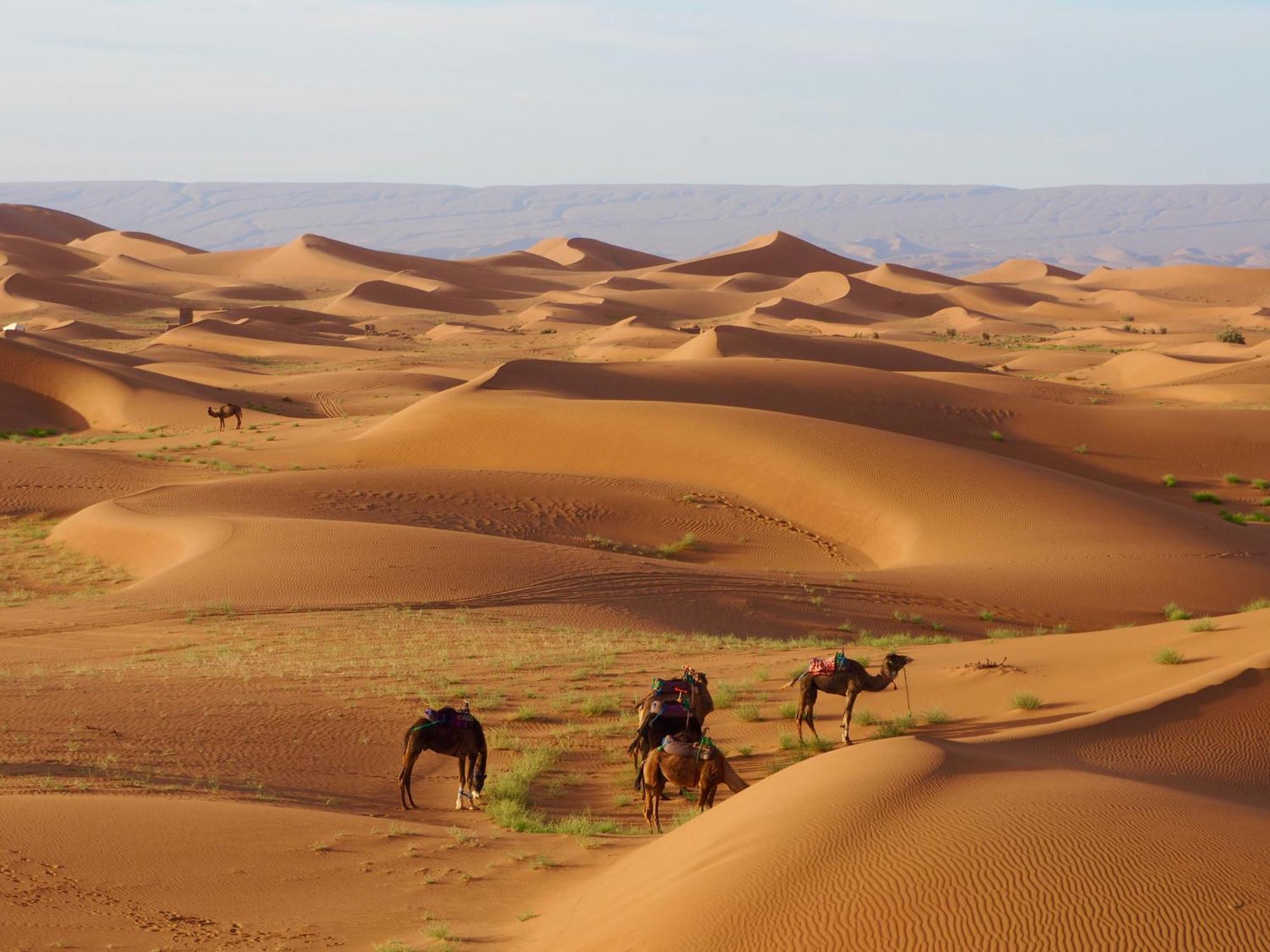 Desert Bivouac Mhamid Exterior foto
