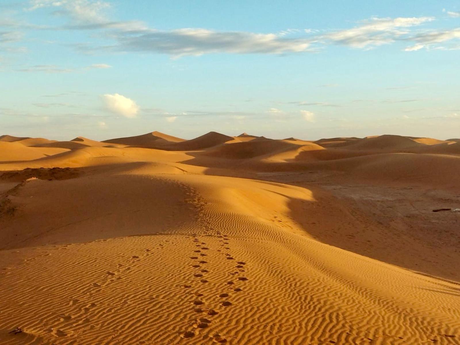Desert Bivouac Mhamid Exterior foto